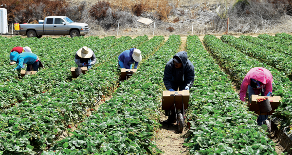 COVID-19 Pandemic Intensifies Economic Disparities Among Latinos ...